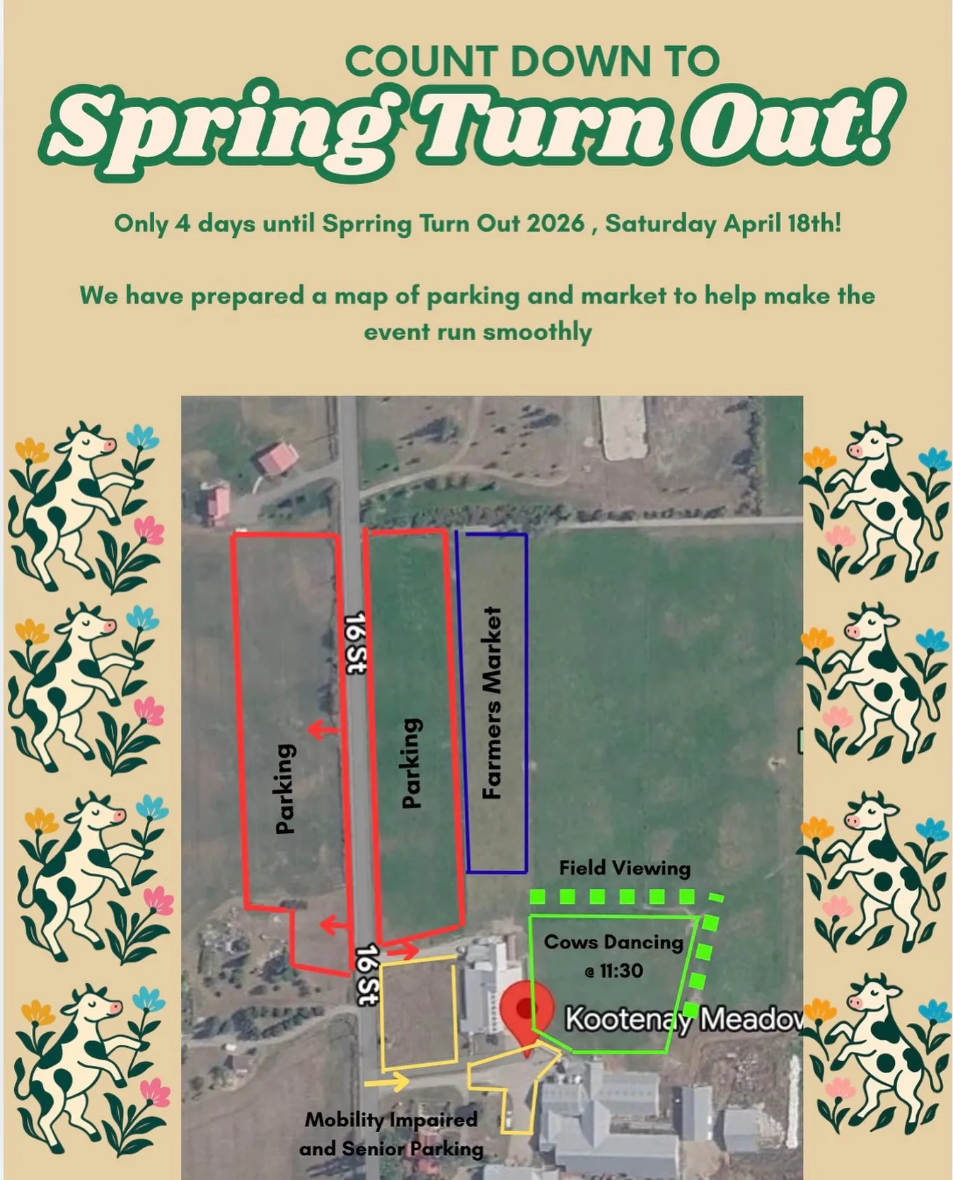 Cows and visitors gathering for Spring Turnout at Kootenay Meadows